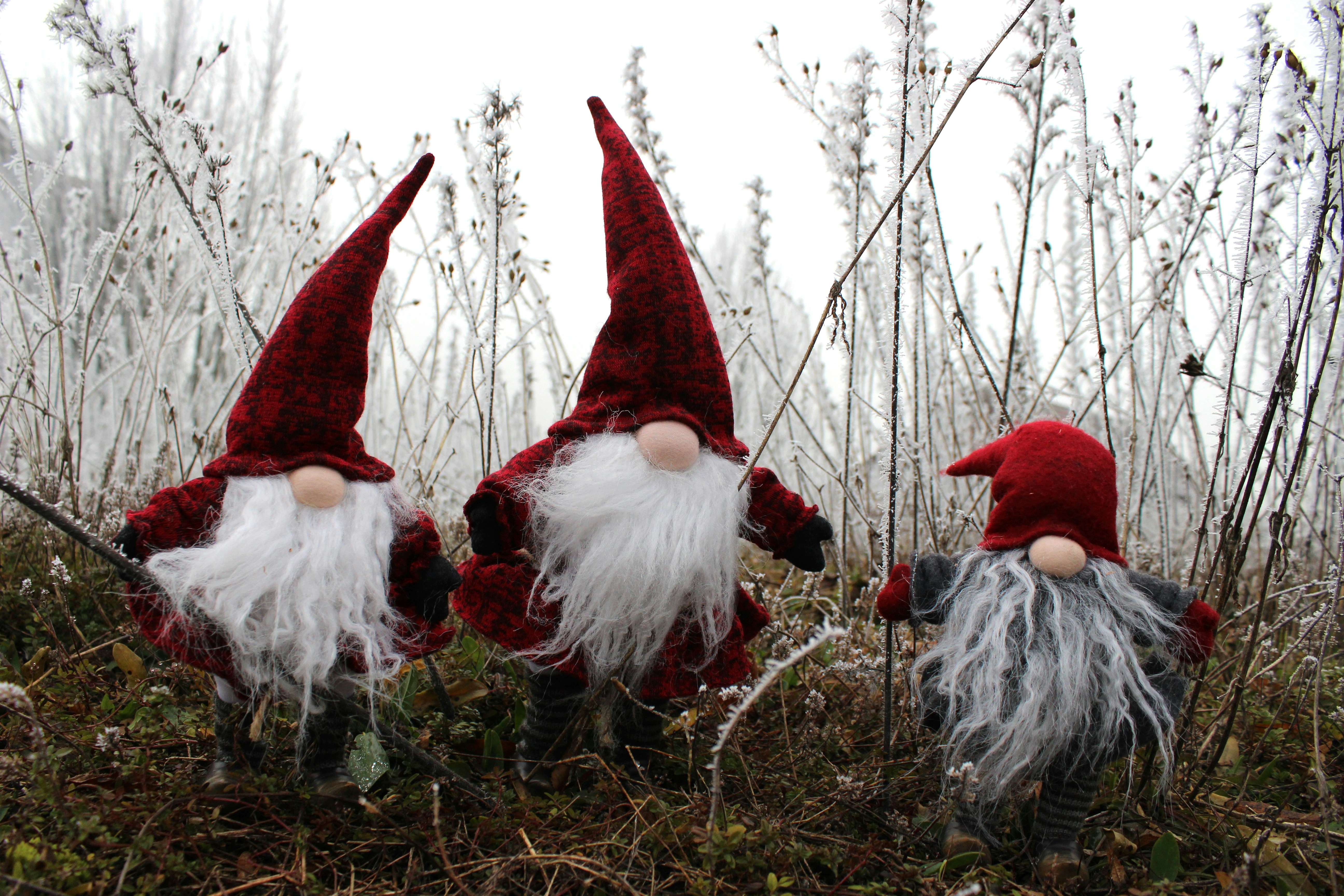 nisse